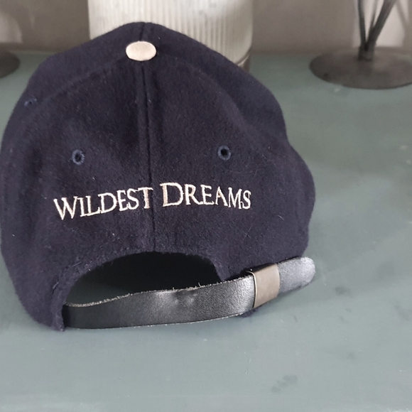 Tina Turner Wildest Dreams Baseball Cap - Picture 3 of 11